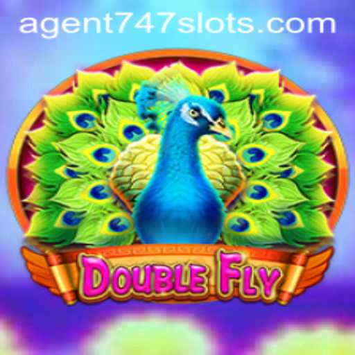 DoubleFly: A Riveting Adventure With Agent747